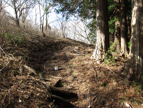 20200122hike (102)